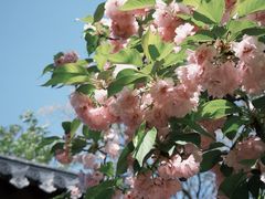 -四门塔风景区