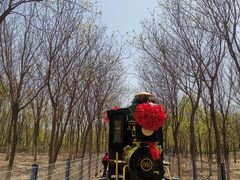 -西青郊野公园