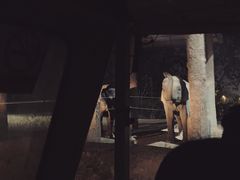 -清迈夜间动物园