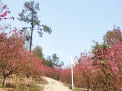 -白水带风景区体育公园