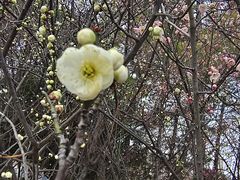 -白塘生态植物园