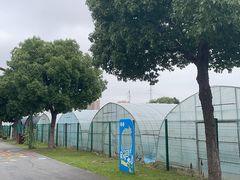 -菊园百果园