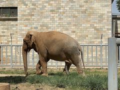 -石家庄市动物园