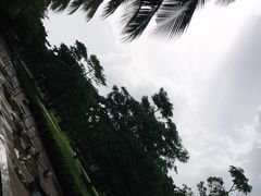 -万绿园