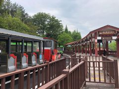 -九曲溪竹筏码头