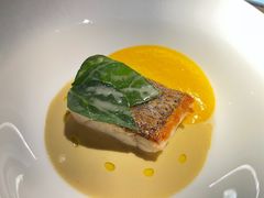 香煎海鲈鱼配胡萝卜奶油-L'ATELIER de Joel Robuchon(外滩18号店)