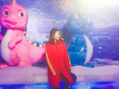 -芜湖方特旅游度假区