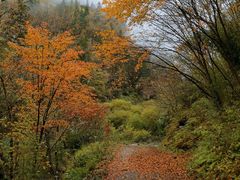 -叠溪松坪沟景区