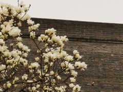 -西安市广仁寺