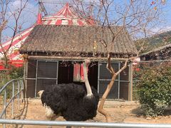 -无锡动物园·太湖欢乐园