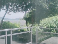 -上海市保健医疗中心