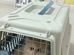 -谐和贝康宠物医院24小时·宠保定点(急重症转诊中心)