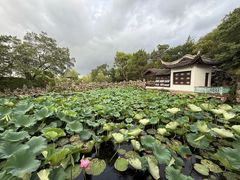 -无锡蠡湖国家湿地公园-蠡园