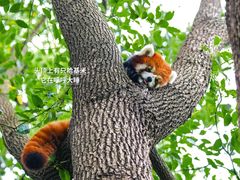 -常州淹城野生动物世界