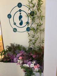 -头道汤头疗养生馆