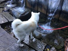 -蝴蝶泉公园