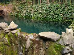 -四门塔风景区