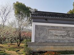 -香雪海