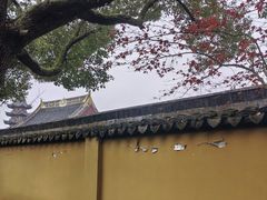 -灵岩山风景区