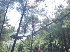 -梦幻奥陶纪景区