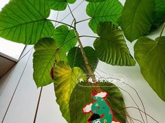 -有趣人类咖啡(永庆坊店)