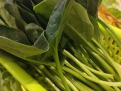 菠菜-古乐牛香·鲜牛肉牛杂火锅(解放东路店)