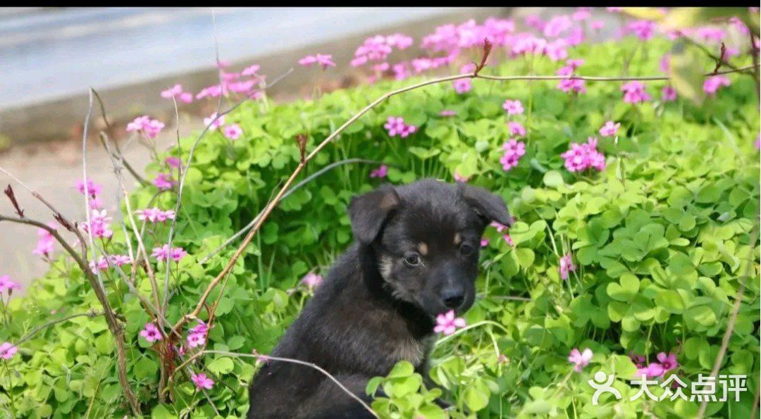 来体验农场一番。