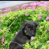 来体验农场一番。