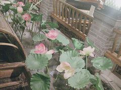 -紫腾大院·南京菜(江宁店)