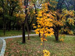 -国家植物园南园