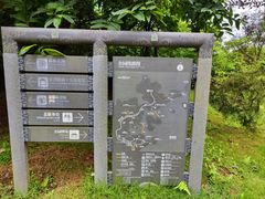 -广州市流溪河国家森林公园