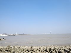 -上海滨江森林公园