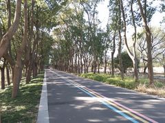 -同里国家湿地公园