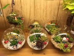 iphone_upload_pic-妃比花艺(光启城时尚购物中心店)