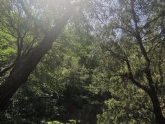 -佛慧山