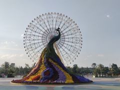 -七彩云南欢乐世界