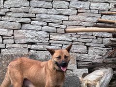 -高荡千年布依古寨旅游景区