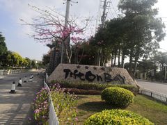 -金汤湾海水温泉度假酒店