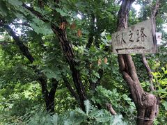 -沈阳辉山风景区