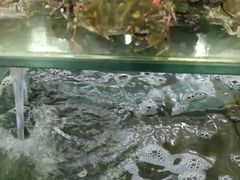 -四海鲜渔家菜(黄金海岸店)