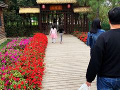 -艾溪湖湿地公园