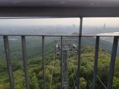 -紫金山山顶公园
