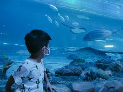 -华夏文旅海洋公园