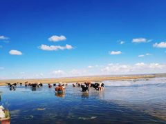 -青海湖国家重点风景名胜区