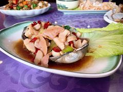 -威海渔村(静安旗舰店)