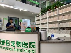 -爱侣宠医·鹦鹉专科·小型哺乳类·异宠专科(灵石路店)