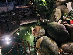 -爪哇空气酒吧