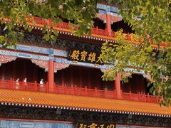 -广州莲花山旅游区