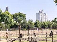 -太原动物园