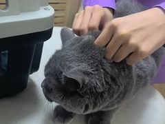 -瑞派宠物医院·24h·骨外科·皮肤科·全科宠物医疗转诊中心(沈阳浑南院)
